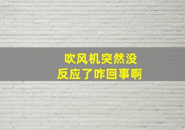 吹风机突然没反应了咋回事啊