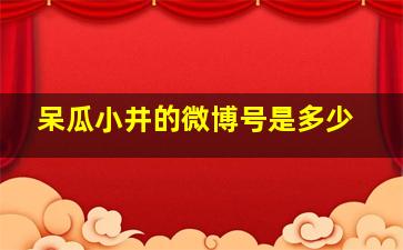 呆瓜小井的微博号是多少