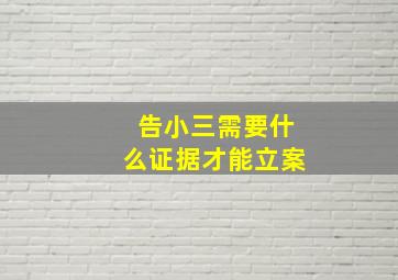 告小三需要什么证据才能立案