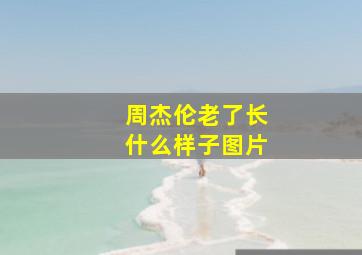 周杰伦老了长什么样子图片