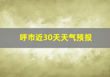 呼市近30天天气预报