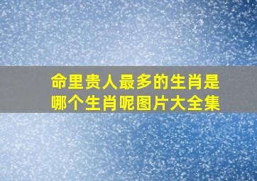 命里贵人最多的生肖是哪个生肖呢图片大全集