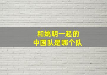 和姚明一起的中国队是哪个队