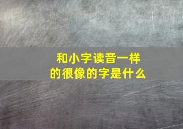 和小字读音一样的很像的字是什么