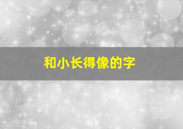 和小长得像的字