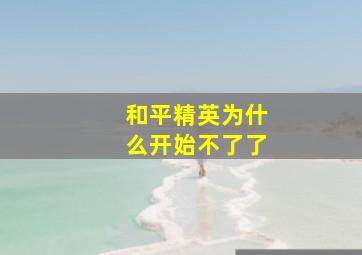 和平精英为什么开始不了了