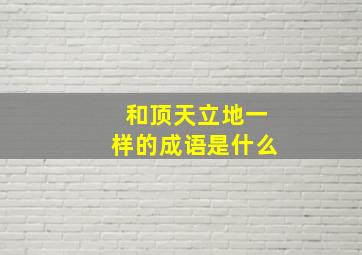 和顶天立地一样的成语是什么