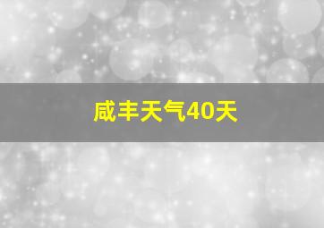 咸丰天气40天