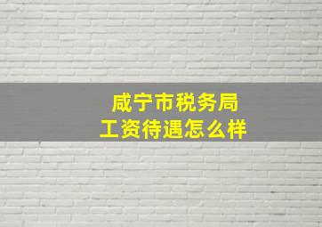 咸宁市税务局工资待遇怎么样