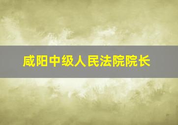 咸阳中级人民法院院长