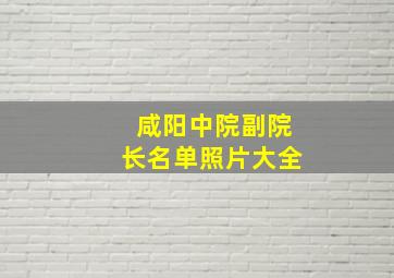 咸阳中院副院长名单照片大全