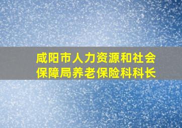 咸阳市人力资源和社会保障局养老保险科科长