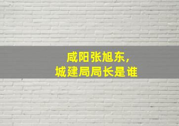 咸阳张旭东,城建局局长是谁