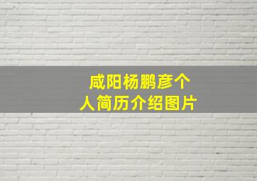 咸阳杨鹏彦个人简历介绍图片