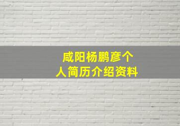 咸阳杨鹏彦个人简历介绍资料