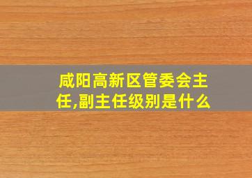 咸阳高新区管委会主任,副主任级别是什么