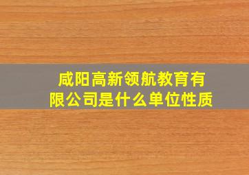 咸阳高新领航教育有限公司是什么单位性质