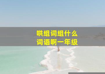 哄组词组什么词语啊一年级