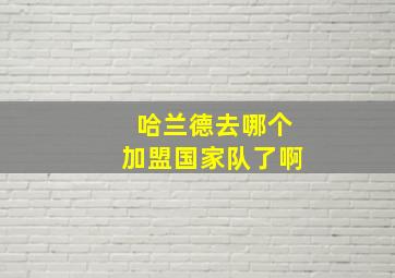 哈兰德去哪个加盟国家队了啊