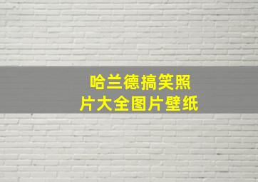 哈兰德搞笑照片大全图片壁纸