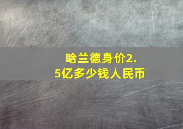 哈兰德身价2.5亿多少钱人民币