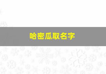 哈密瓜取名字