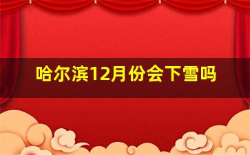 哈尔滨12月份会下雪吗