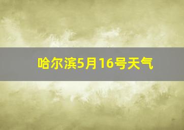 哈尔滨5月16号天气