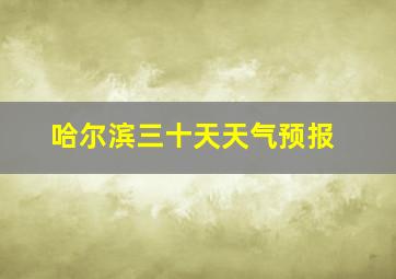 哈尔滨三十天天气预报