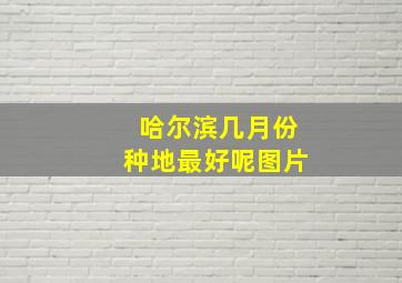 哈尔滨几月份种地最好呢图片