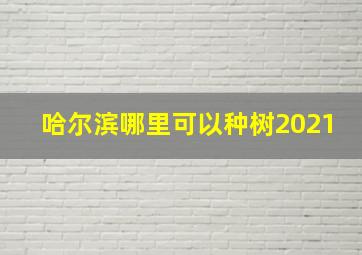 哈尔滨哪里可以种树2021