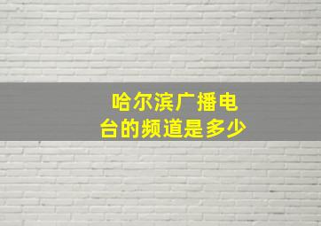 哈尔滨广播电台的频道是多少