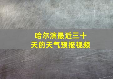 哈尔滨最近三十天的天气预报视频