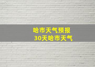 哈市天气预报30天哈市天气