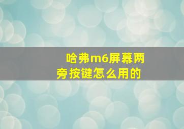 哈弗m6屏幕两旁按键怎么用的