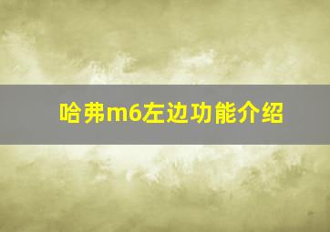 哈弗m6左边功能介绍