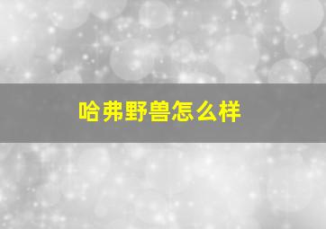 哈弗野兽怎么样