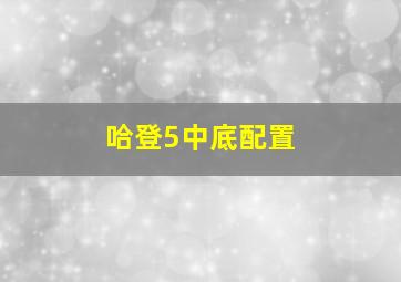 哈登5中底配置