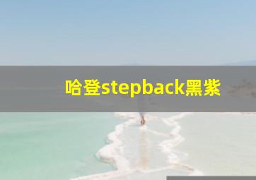 哈登stepback黑紫