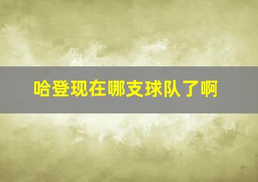 哈登现在哪支球队了啊