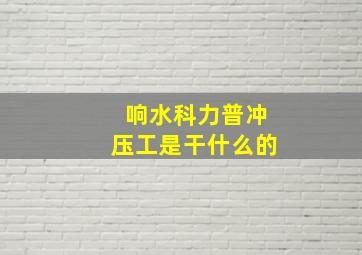 响水科力普冲压工是干什么的