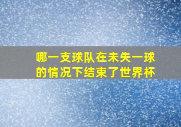 哪一支球队在未失一球的情况下结束了世界杯