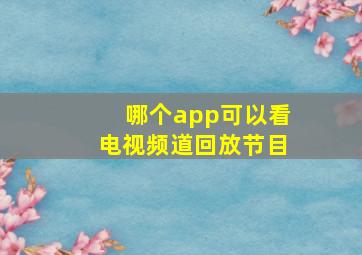 哪个app可以看电视频道回放节目