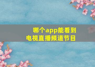 哪个app能看到电视直播频道节目