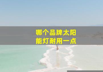 哪个品牌太阳能灯耐用一点