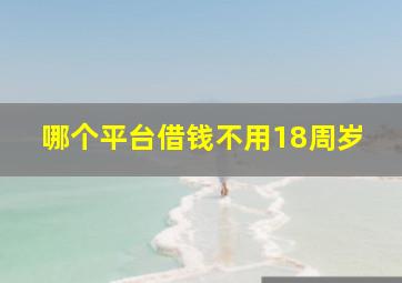 哪个平台借钱不用18周岁