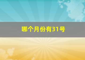 哪个月份有31号