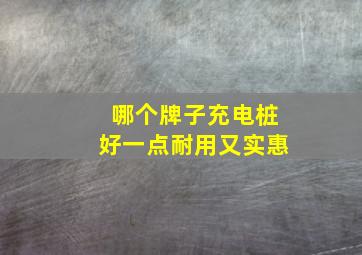 哪个牌子充电桩好一点耐用又实惠