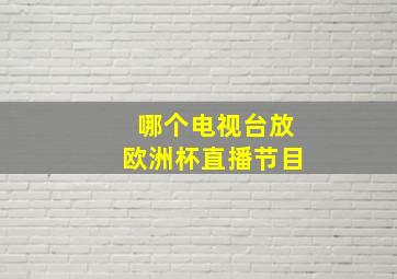 哪个电视台放欧洲杯直播节目