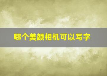 哪个美颜相机可以写字